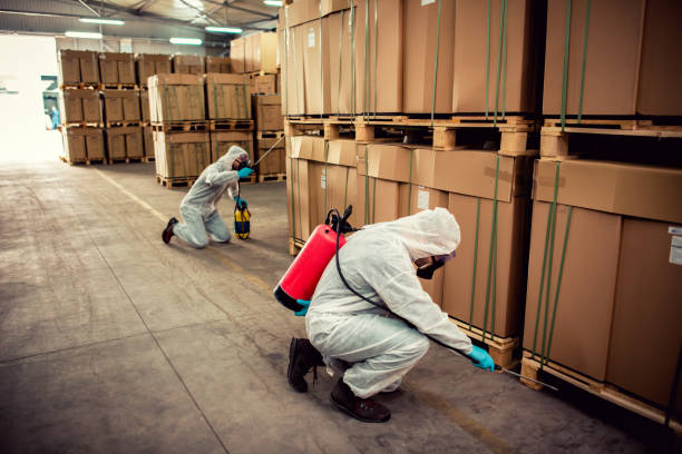 Best Exterminator Services  in New Albany, OH