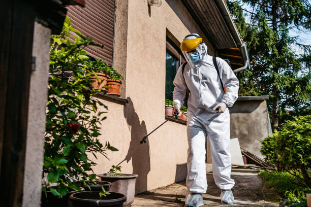 Best Termite Control Services  in New Albany, OH