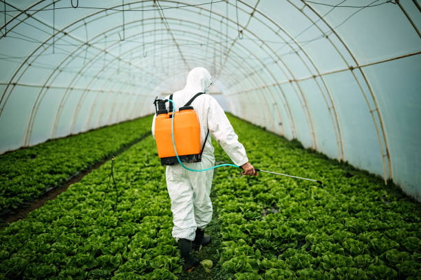 Reliable New Albany, OH Pest Control Solutions