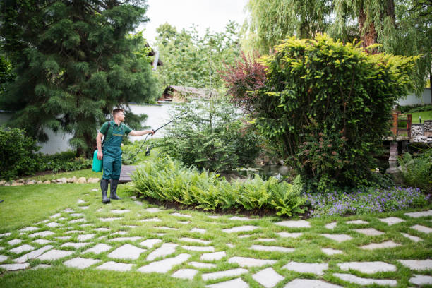 Best Pest Removal Services  in New Albany, OH