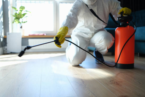 Flea Control Services in New Albany, OH