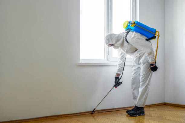 Pest Prevention Services in New Albany, OH