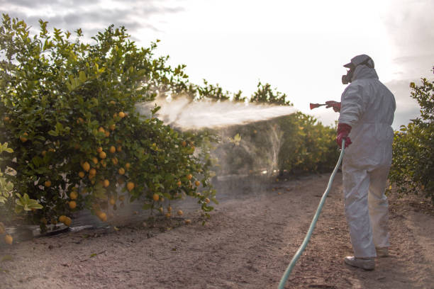 Pest Control Cost in New Albany, OH