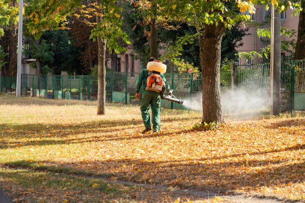 Best Cockroach Control Services  in New Albany, OH