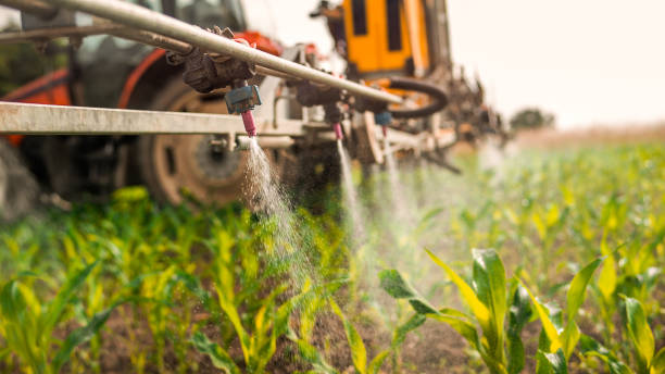 Best Pest Control Treatment  in New Albany, OH